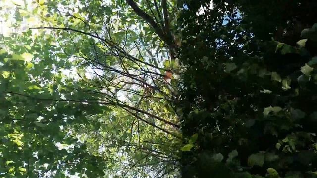 Что может делать ветер? смотреть онлайн