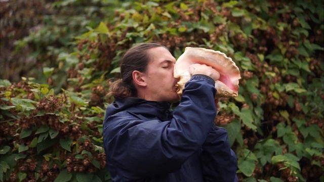 Поющая раковина (дункар, шанкха, конх, горн из ракушки) / Conch shell horn (shankha) смотреть онлайн