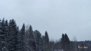 Солнечные панели! Как влияет угол наклона на количество снега на них .