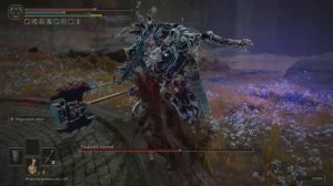 ELDEN RING (Годфрой Сторукий)