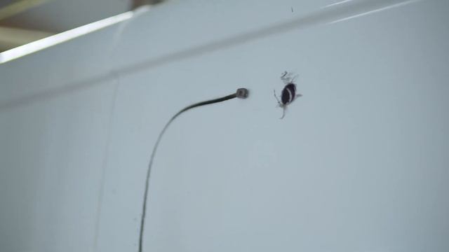 001 We Bought a Van! - Vauxhall Vivaro Conversion - Channel intro смотреть онлайн