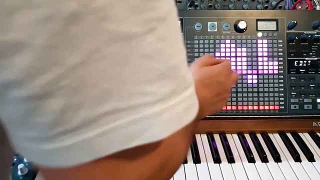 4 Minutes Demo of the Arturia Matrixbrute Custom Waveform Lfo. смотреть онлайн