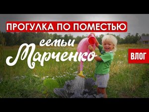 Органический огород на поместье. Как выращивают продукты без химии в Радосвете