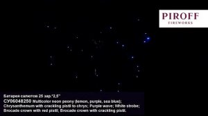 Батарея салютов СУ06048250 (25/2,5)