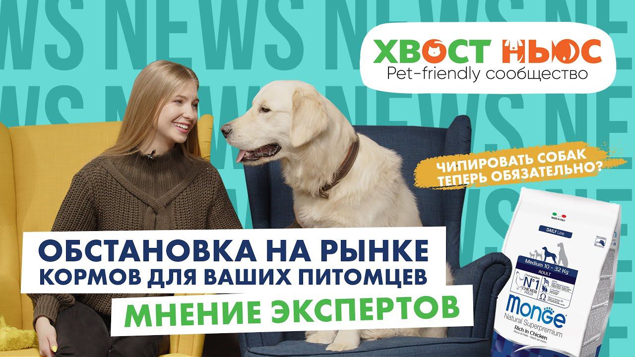 Что происходит с импортными кормами, обязательное чипирование и другие новости “Хвост Ньюс” #11