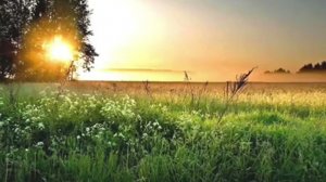Просто песня. Возрождайся, Россия