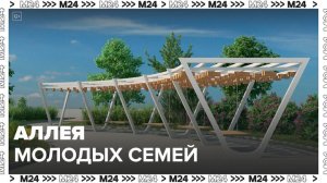 Аллею молодых семей обновят в Люблине - Москва 24