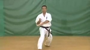 Каратэ Киокушинкай: Ката - Пинан Соно Сан | Kyokushin Karate: Kata - Pinan Sono San