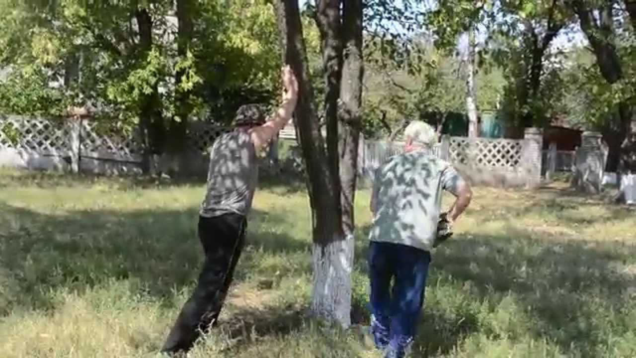 Строим кордодром 2 смотреть онлайн