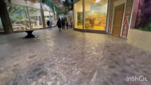 Казанский зоопарк смотреть онлайн