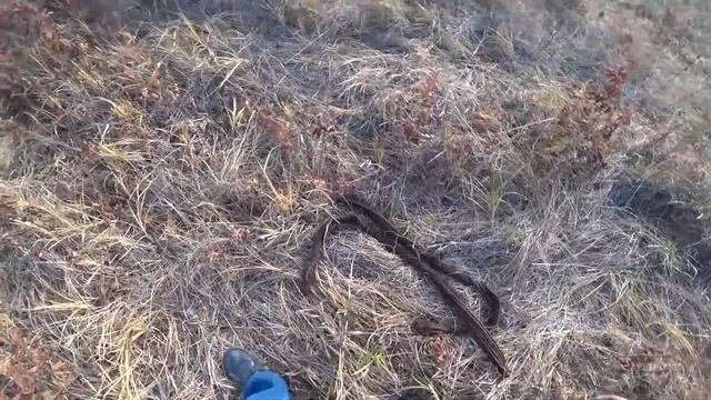 Теперь я знаю где искать металл железо.Коп металла с ХТЕРРА