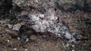 Горит индюшиный помет Вопрос на засыпку