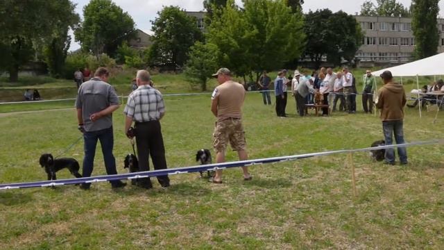 Выставка РОС 27 мая 2017 смотреть онлайн