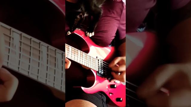 Un minino metalero #metal #killswitchengage #abidfarewell #guitarcover