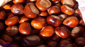 МУЖЧИНЫ! ПРОСТАТИТ Боится Как ОГНЯ Этого СРЕДСТВА! Эффективный РЕЦЕПТ…