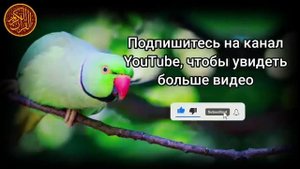 утренний дуа. дуа каждое утро