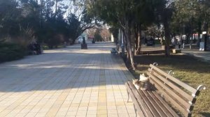 #АНАПА ЛЮБИМАЯ.Обзорная экскурсия.
