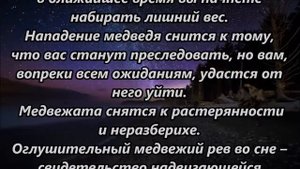 К чему снится медведь