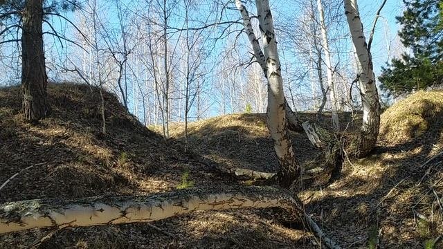 Переезд в Рассию.