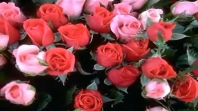 Танюшка с днем рождения смотреть онлайн