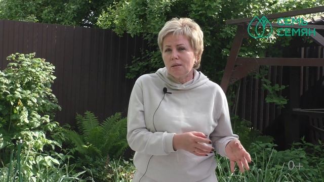 ПОЧЕМУ ЗАВЯЗИ ОГУРЦОВ ЖЕЛТЕЮТ И ОПАДАЮТ? КАК НЕ ОСТАТЬСЯ БЕЗ УРОЖАЯ