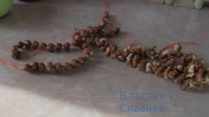 Как Приготовить Чурчхелу. Make churchkhela at home.