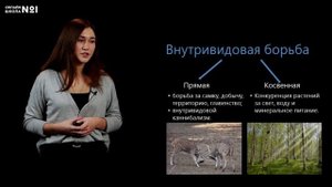 Естественный отбор: предпосылки и механизм действия. Видеоурок 8. Биология 11 класс