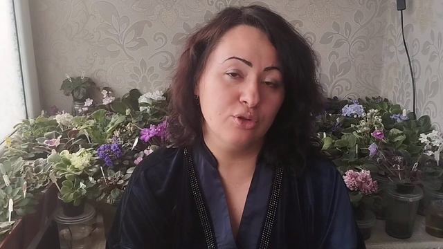 Принимаю эстафету и передаю дальше! 😅🧿 смотреть онлайн