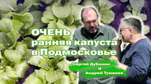 Очень ранняя капуста в Подмосковье