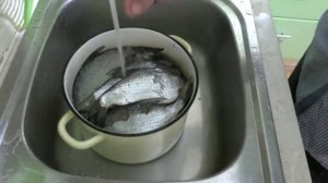 Как солить рыбу