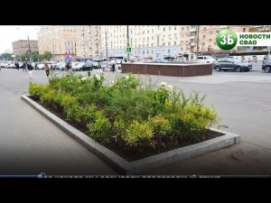Новый цветник украсил территорию у театра Аллы Духовой