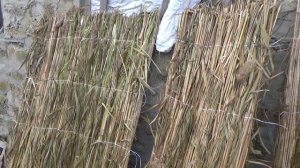 Укрывной материал для винограда.