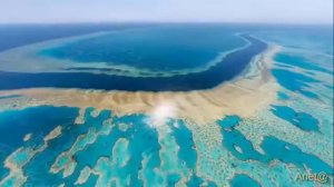 Чудеса света   Большой барьерный риф