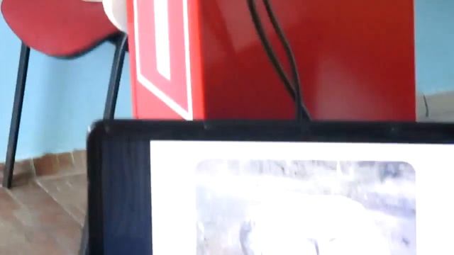 Фестиваль каменных скульптур, презентация, Алла Овсянникова, 20.05.2015