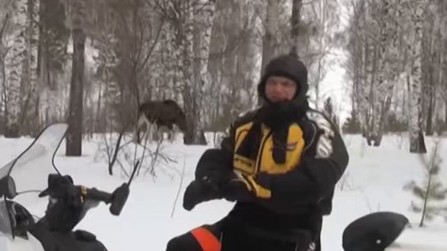 Фотоохота смотреть онлайн