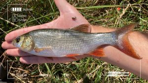 Пробуй такие приманки! Нимфинг в мормышинге.