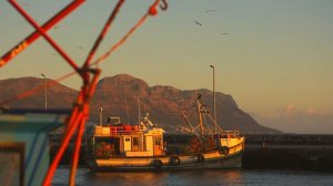 У тёщи и зятя бурно развивались отношения, пока не приехала жена…