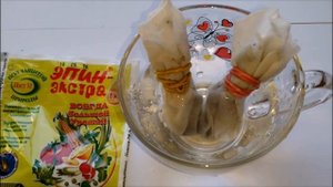 как посадить сельдерей на рассаду