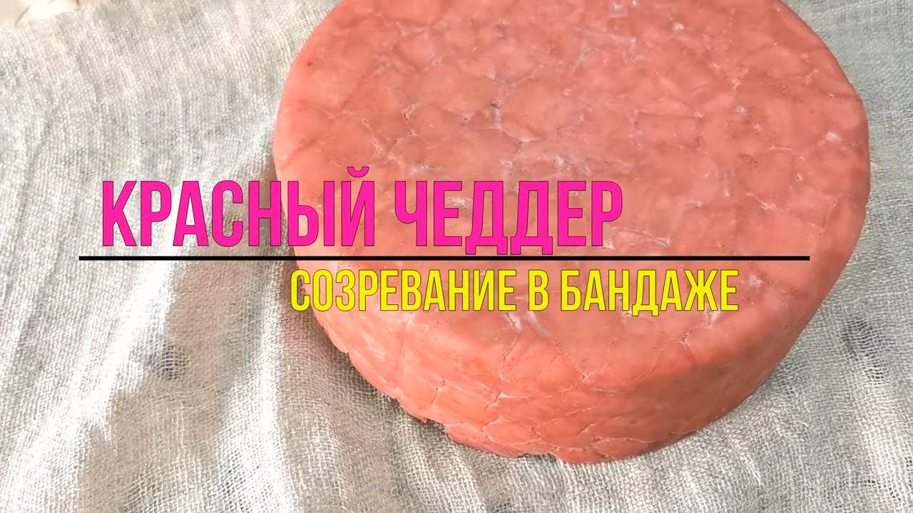 Сыр Красный  Чеддер в бандаже из Кофе и Гусиного жира ( Авторская рецептура Ольги Елисеевой )