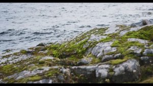 Земельные участки всем