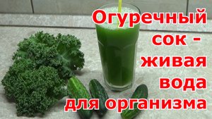 Огуречный сок - живительная вода. Проблема с излишками огурцов решена! Пей сок и будешь как огурчик!