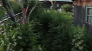 дети купаются в луже children swimming in a pool 1