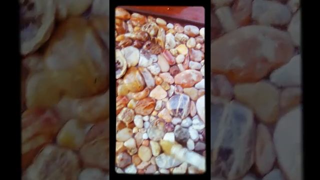 Лакировка камней и появление естественного цвета смотреть онлайн