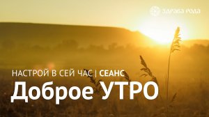 Доброе Утро. Оздоровительный сеанс Здравы РОДА.