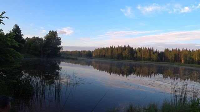 Ловля линя на поплавочную снасть.Рыбалка на озере с берега.Fishing catching tench.Нow to catch tenc