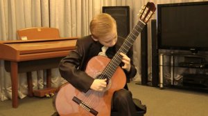 Лео Брауэр   Один день в Ноябре