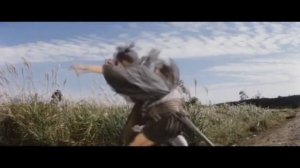Zatoichi's Dance of Death
