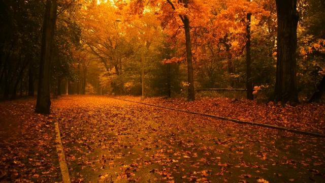 Самая Красивая Музыка о Нежности и Любви на Свете: Расслабляющая Музыка Для Души, Релаксации и Сна смотреть онлайн