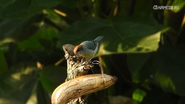 5 знаков Зодиака, которые не умеют любить смотреть онлайн