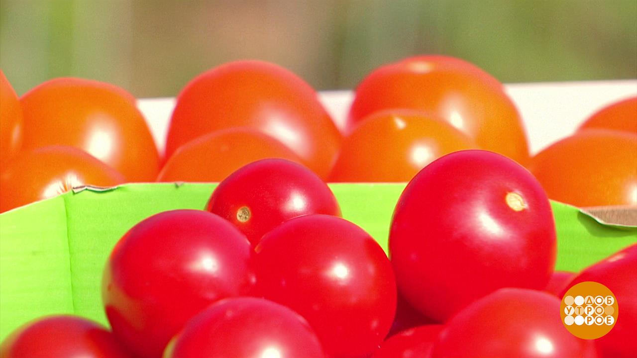 Выбираем сладкие помидоры. Доброе утро. Фрагмент выпуска от 15.05.2024
